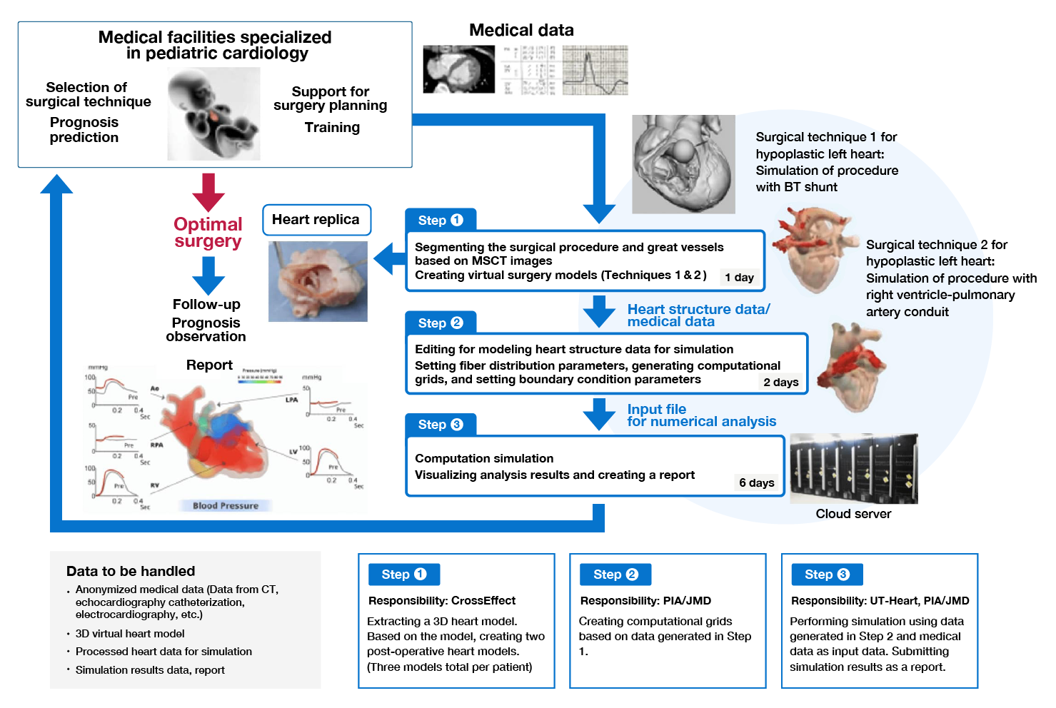 Simulation process with ped UT-Heart